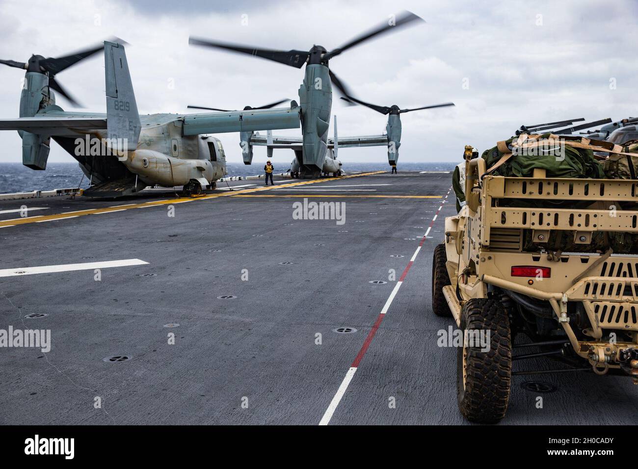 U.S. Marines with the 31st Marine Expeditionary Unit (MEU) load a light ...