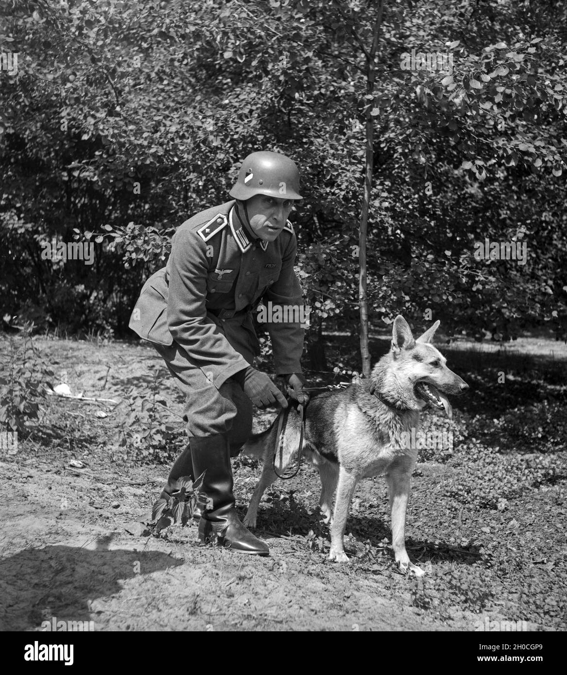 Ein Oberfeldwebel einer Hundestaffel der Wehrmacht, Deutschland 1930er Jahre. A Wehrmacht (staff) sergeant with his German shepherd dog, Germany 1930s. Stock Photo
