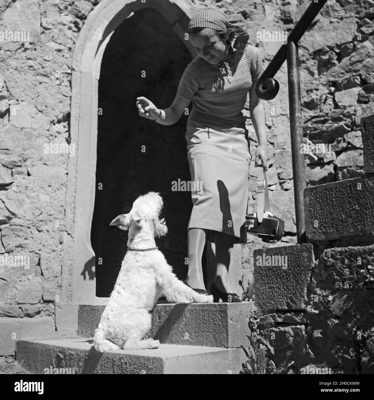 Woman and dog 1930's hi-res stock photography and images - Alamy