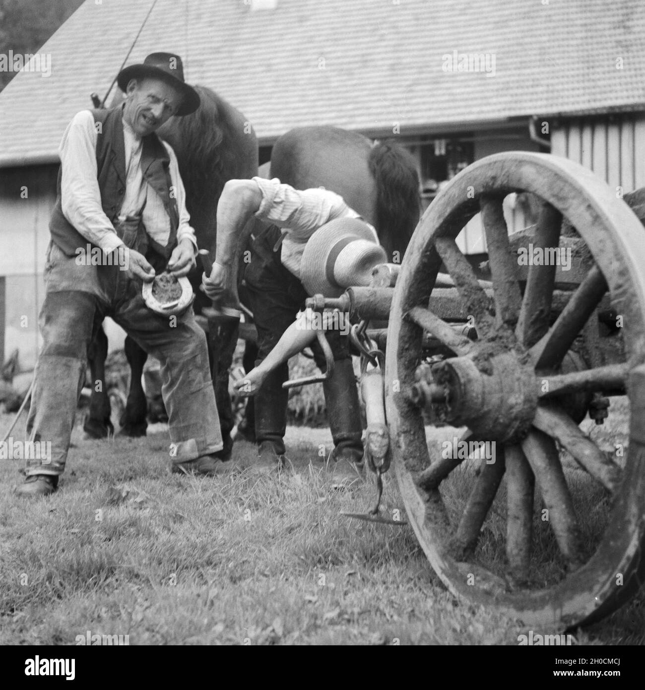 Ein Hufschmied bestückt ein Pferd mit neuen Hufeisen, Deutschland 1930er Jahre. A blacksmith putting new horseshoes on a horse, Germany 1930s. Stock Photo