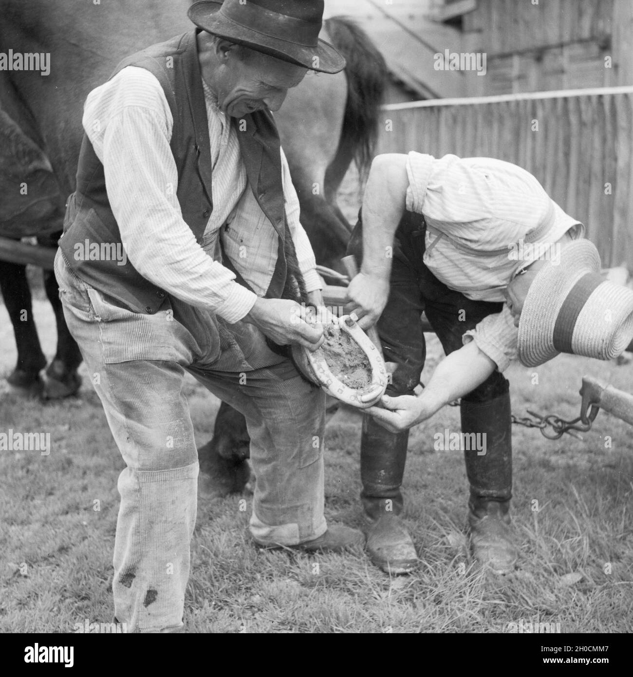 Ein Hufschmied bestückt ein Pferd mit neuen Hufeisen, Deutschland 1930er Jahre. A blacksmith giving a horse a new horseshoe, Germany 1930s. Stock Photo