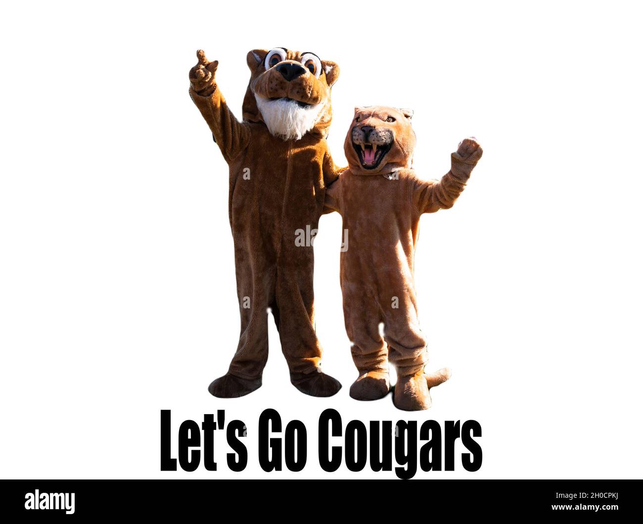 Lets Go Cougars