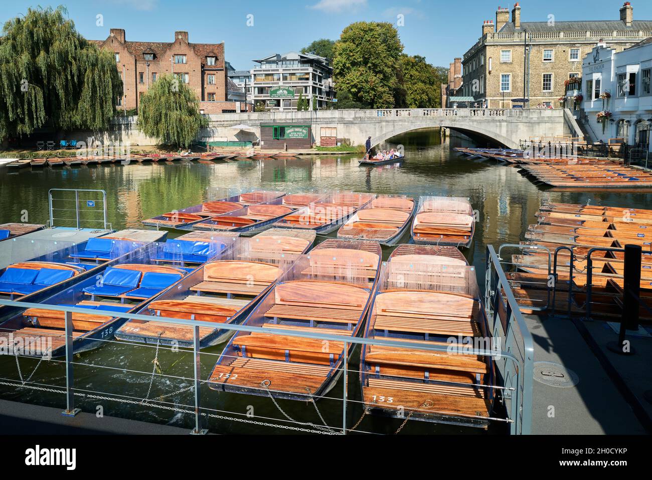 Groups of punts moored on the river Cam, Cambridge, England, at Scudamore's landing area. Stock Photo