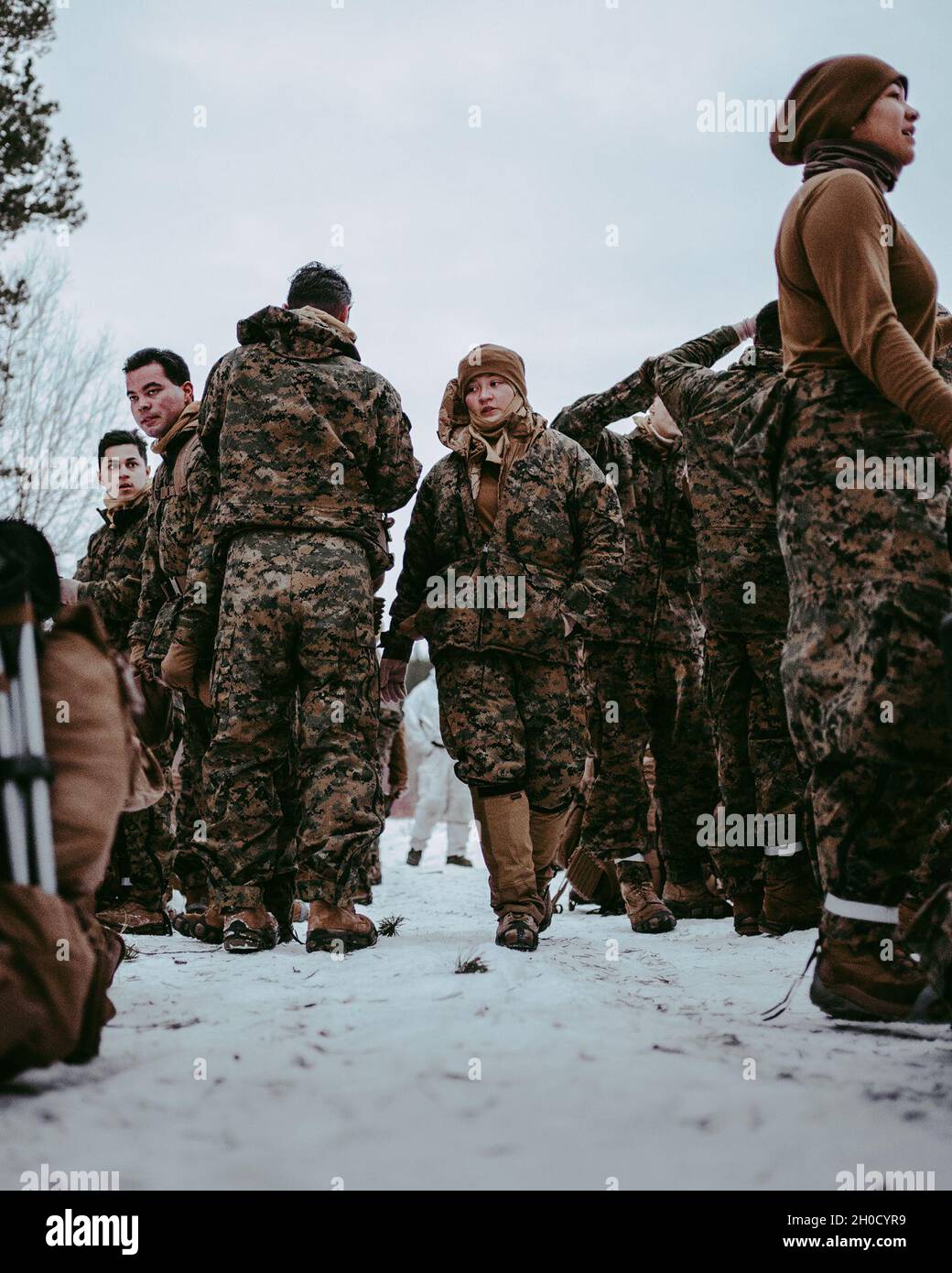 U.S. Marines with 26th Marine Expeditionary Unit conduct a gear check in Setermoen Norway Jan. 27 2021. Marines participated in cold weather training led by Norwegian Army instructors to familiarize t...