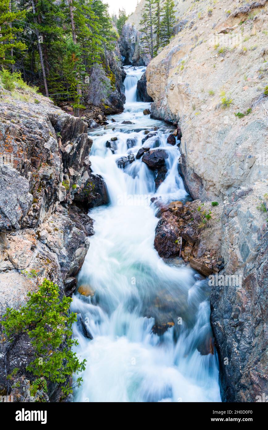 Torrey Creek Waterfall, Glacier Trail, Wind River Mountains, near Dubois, Wyoming Stock Photo