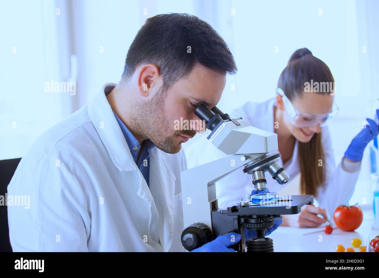 Two scientists researching vegetables in lab with microscope Stock ...