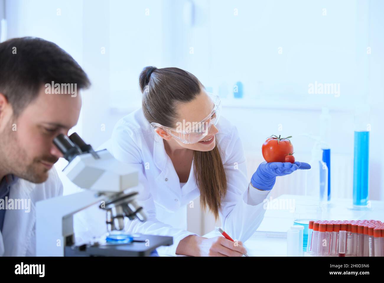 Two scientists researching vegetables in lab with microscope Stock ...
