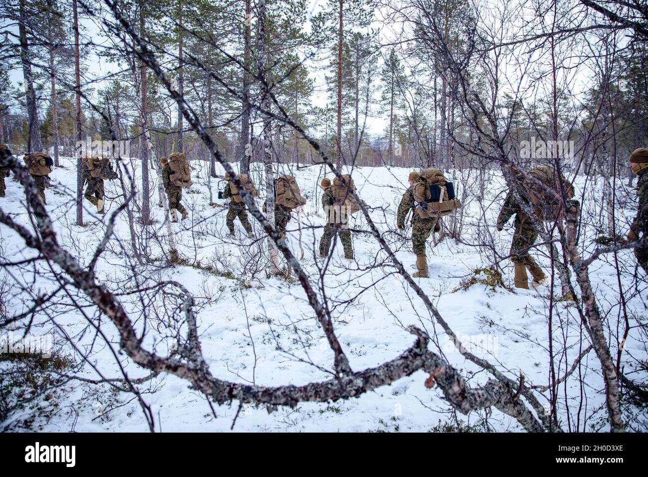 Marines with the 26th Marine Expeditionary Unit navigate through snow-covered woods during cold weather training led by Norwegian Army instructors, at Setermoen, Norway, Jan. 28, 2021. The training focused on familiarization of survival methods in extreme cold weather conditions. The training also enhances interoperability with allies and partners around the world. Stock Photo