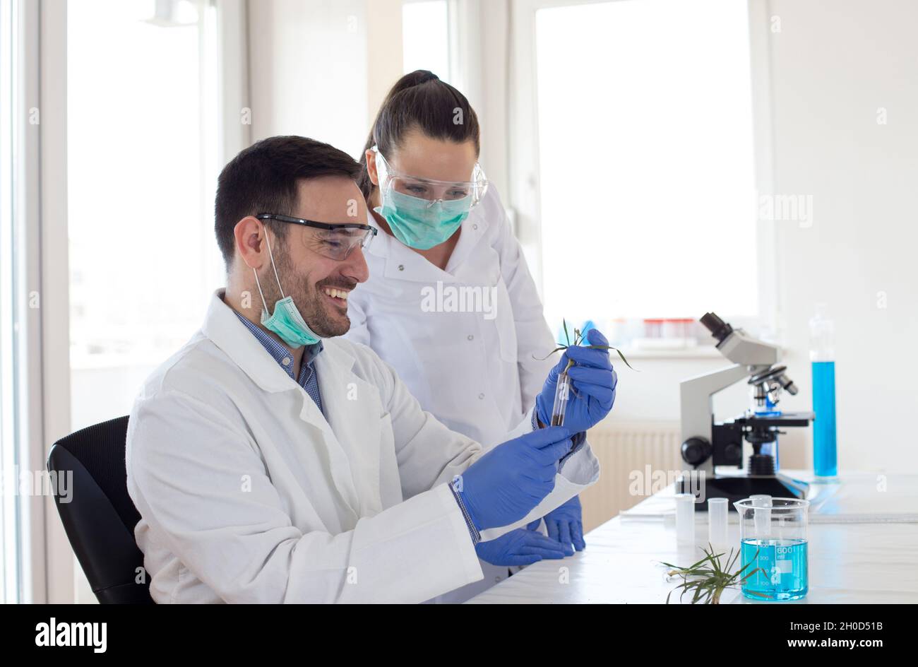 Two biologists analyzing seedlings in laboratory with microscope ...