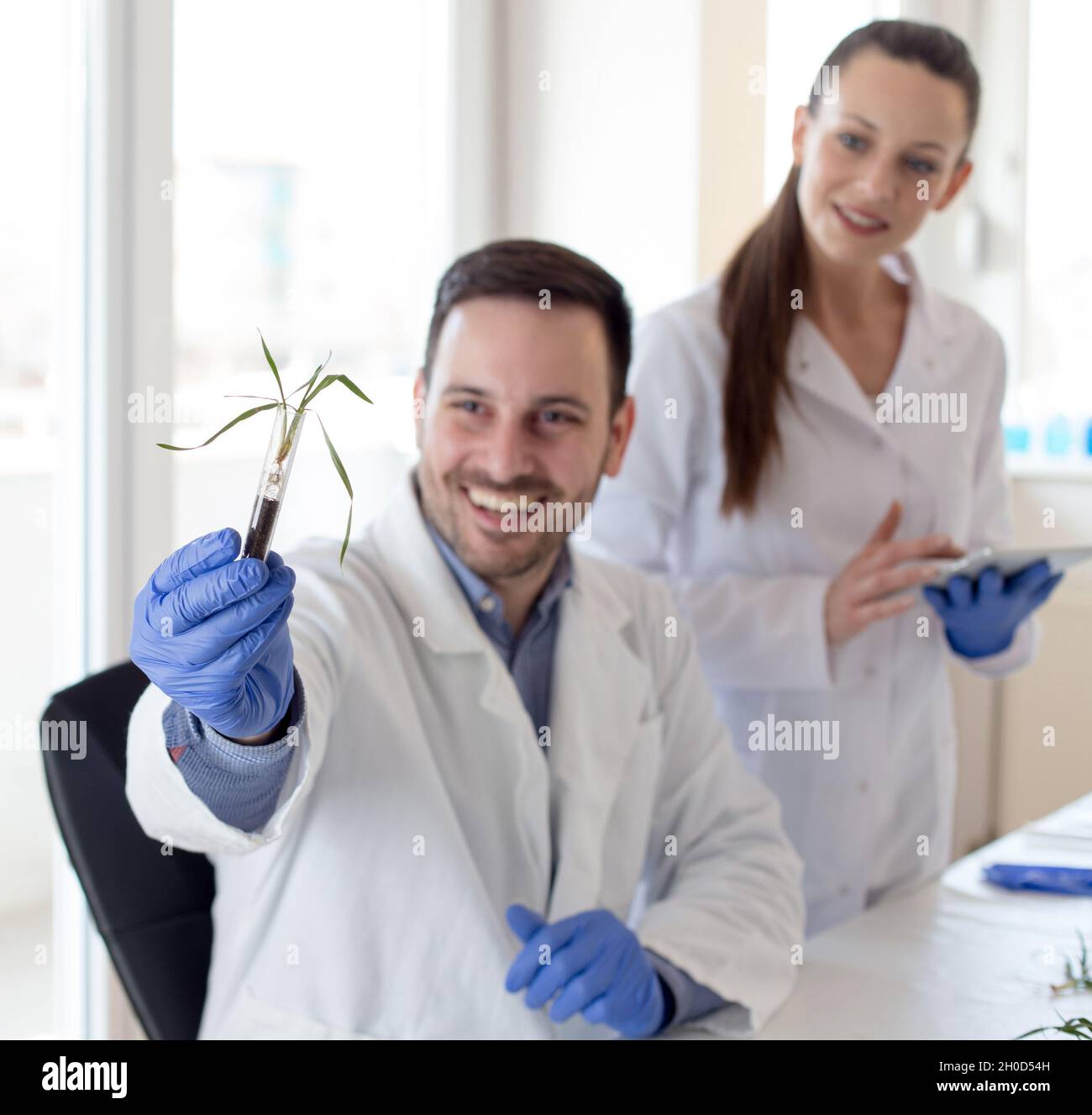 Two biologists analyzing seedlings growth in test tube in laboratory ...