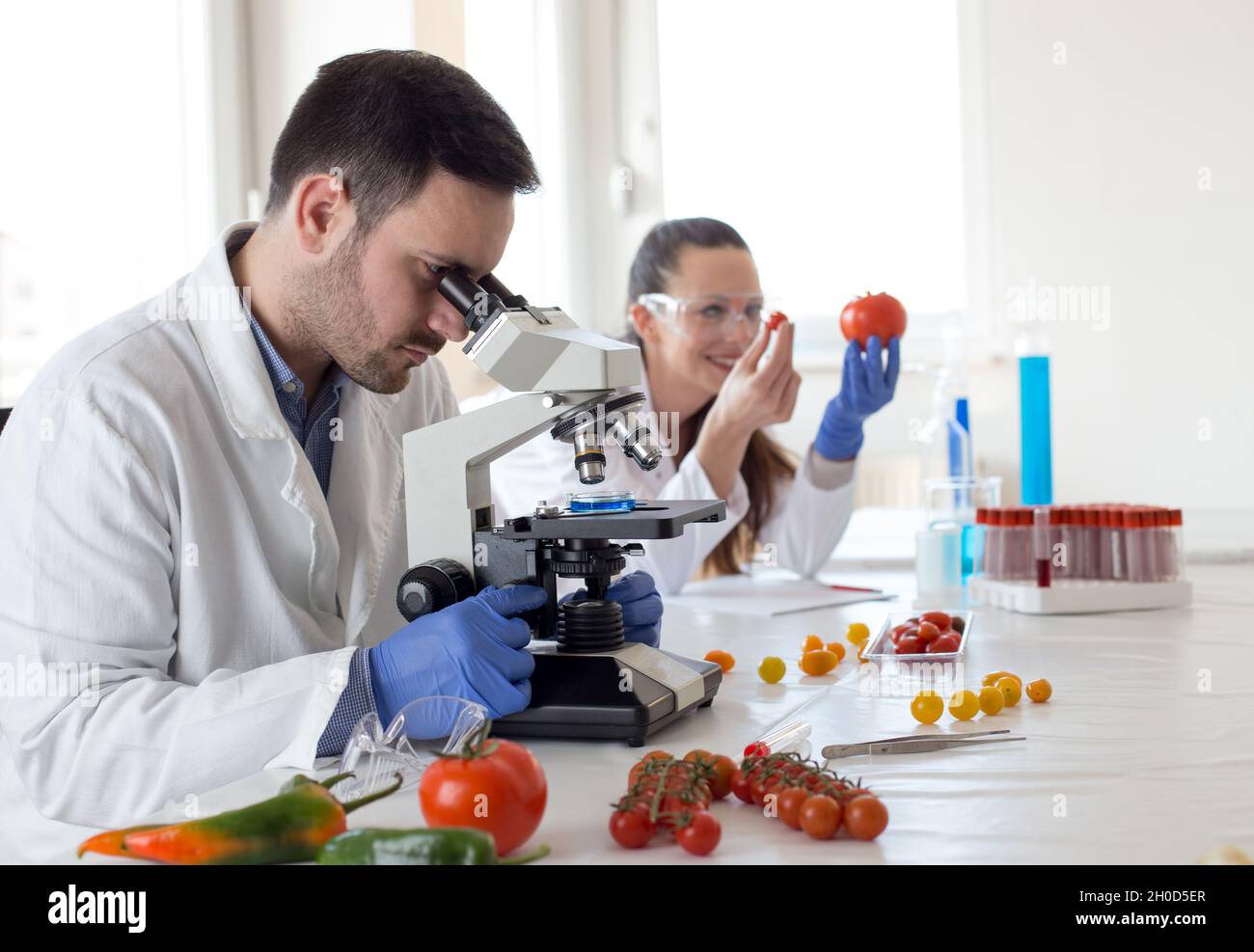 Two scientists researching vegetables in lab with microscope Stock ...