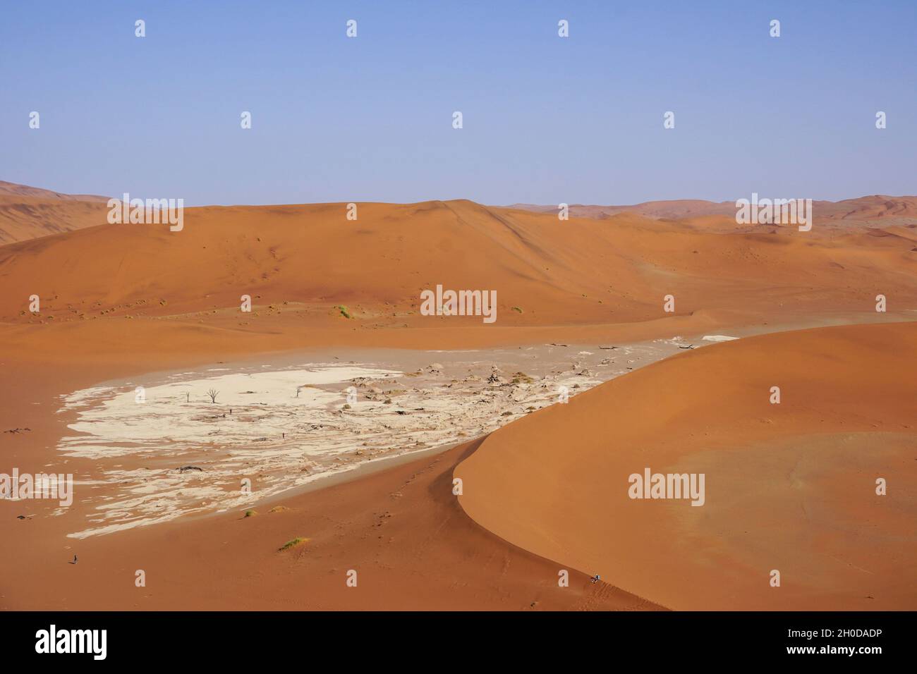 Parco nazionale namib naukluft hi-res stock photography and images - Alamy