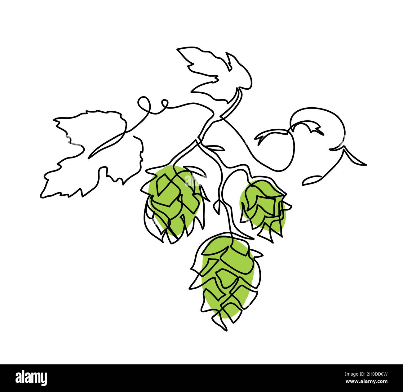 Hop twig vector sketch. One continuous line art drawing of green cones. Branch of hops, minimalist art illustration Stock Vector