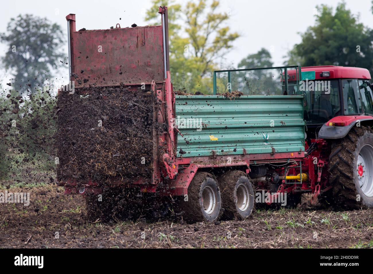 Tractor fertilizing field by spreading natural manure on soil Stock Photo -  Alamy