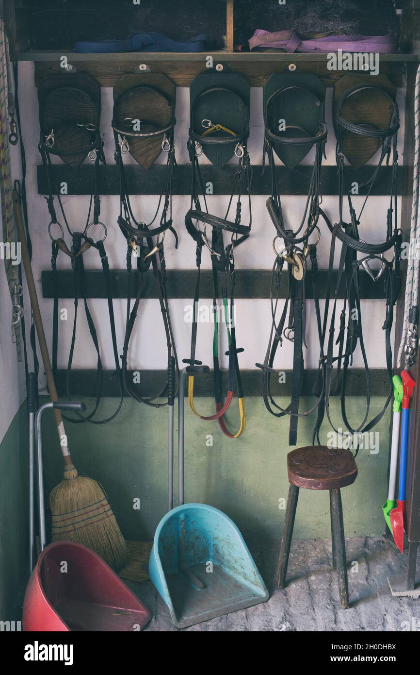 Horse riding tack, bridle and cleaning pan hanging on wall of stable Stock Photo
