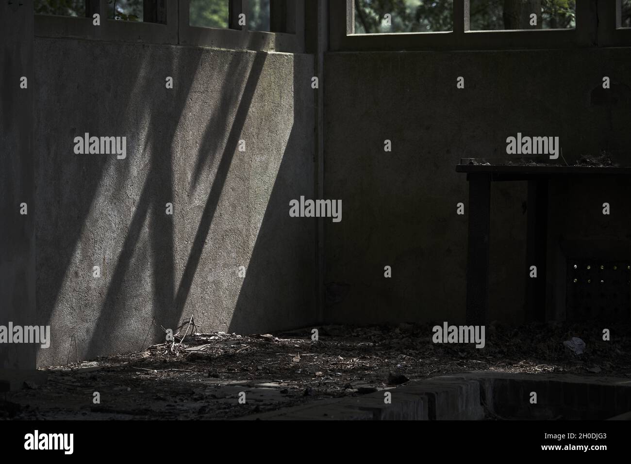 Empty abandoned room full of dust Stock Photo Alamy
