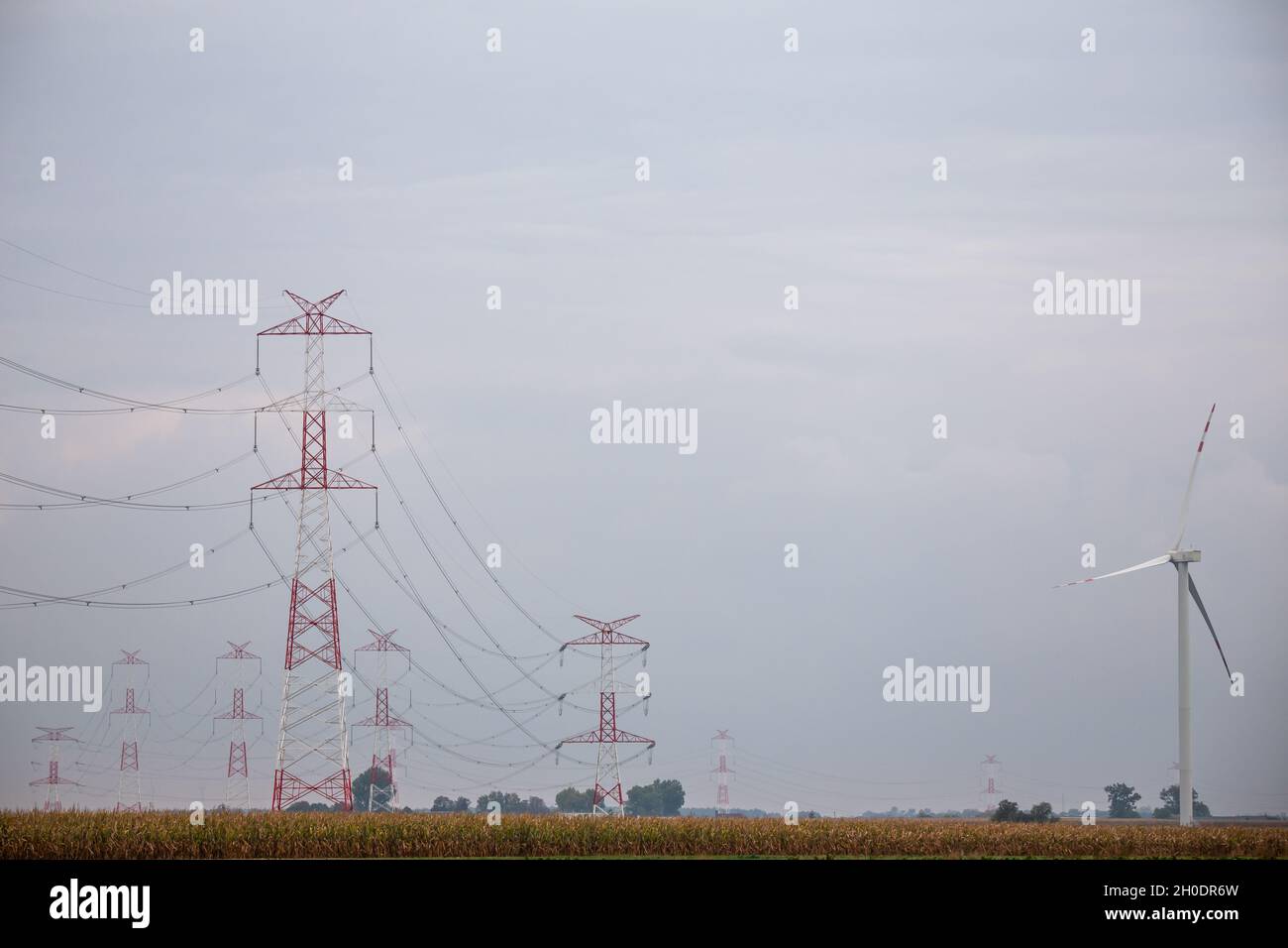 Many high voltage poles standing in the fields in cloudy day. Photo taken under natural lighting conditions. Lot of copy space Stock Photo