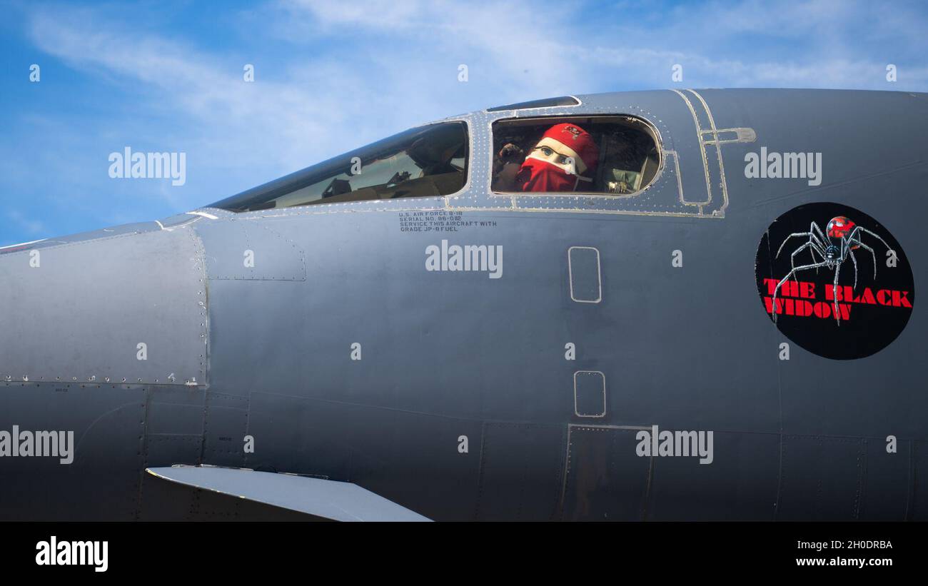 Tampa bay buccaneers mascot hi-res stock photography and images - Alamy