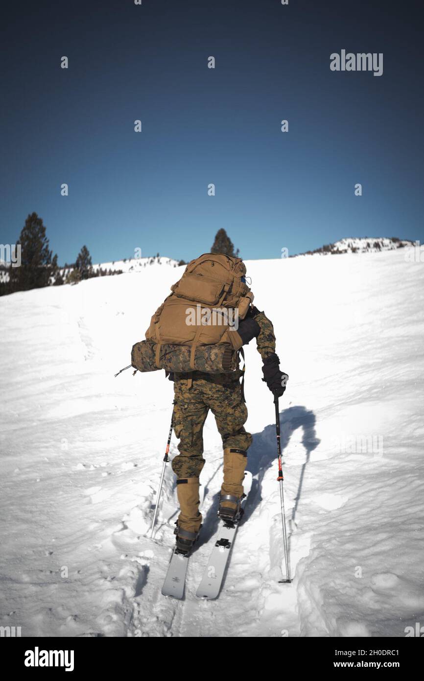 U.S. Marine Corps Col. Daniel J. Wittnam, commanding officer, Marine Corps Mountain Warfare Training Center, Bridgeport, California, cross-country skis through the Marine Corps Mountain Warfare Training Center, Bridgeport, California during Mountain Training Exercise (MTX) 2-21 Feb. 3, 2021. The purpose of MTX is to prepare Marines for harsh weather conditions while enhancing winter warfare skills in cold weather environments. Stock Photo