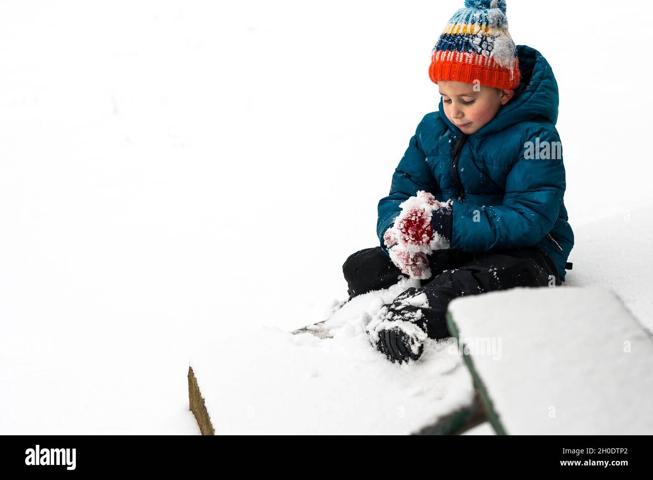 Rosy cheeked boy making snowball Stock Photo