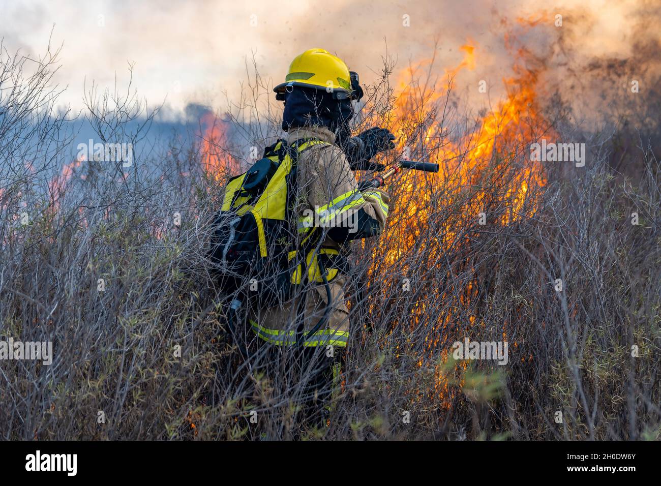 firefighters putting out forest fire Stock Photo