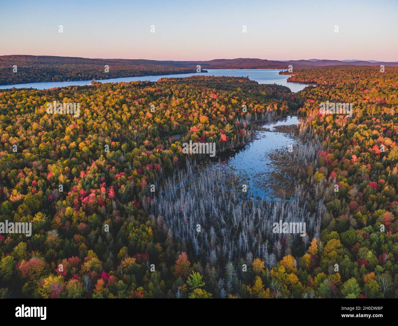 Fall Foliage Sunrise In Maine Stock Photo Alamy