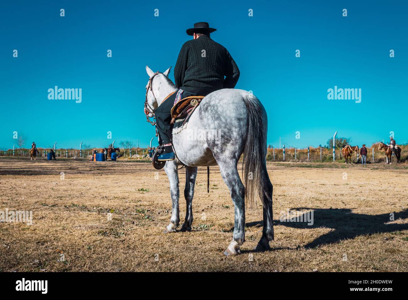 Argentine gaucho with hat on horse Stock Photo