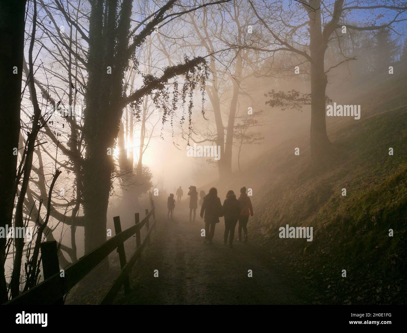 Misty morning with sun shining through trees and a group of people walking on a hiking path. Foggy day with sun rays. Stock Photo