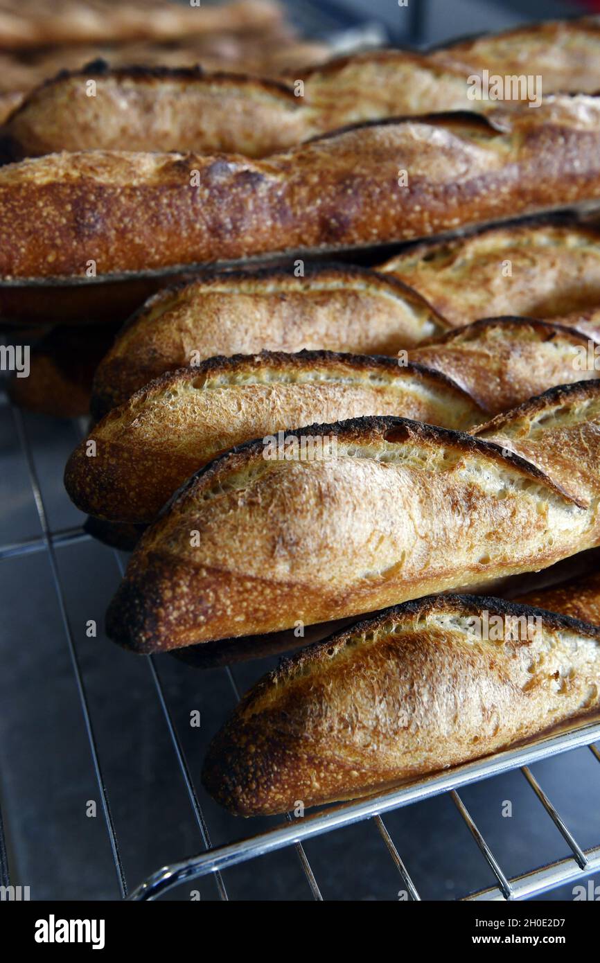 Baguette de tradition Tradition baguette French Bread France