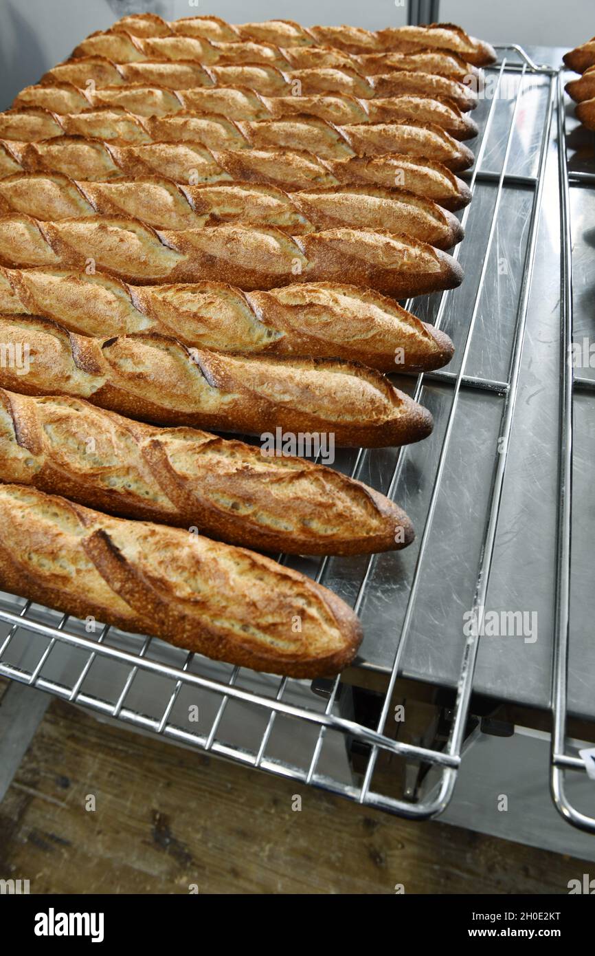 Baguette de tradition Tradition baguette French Bread France