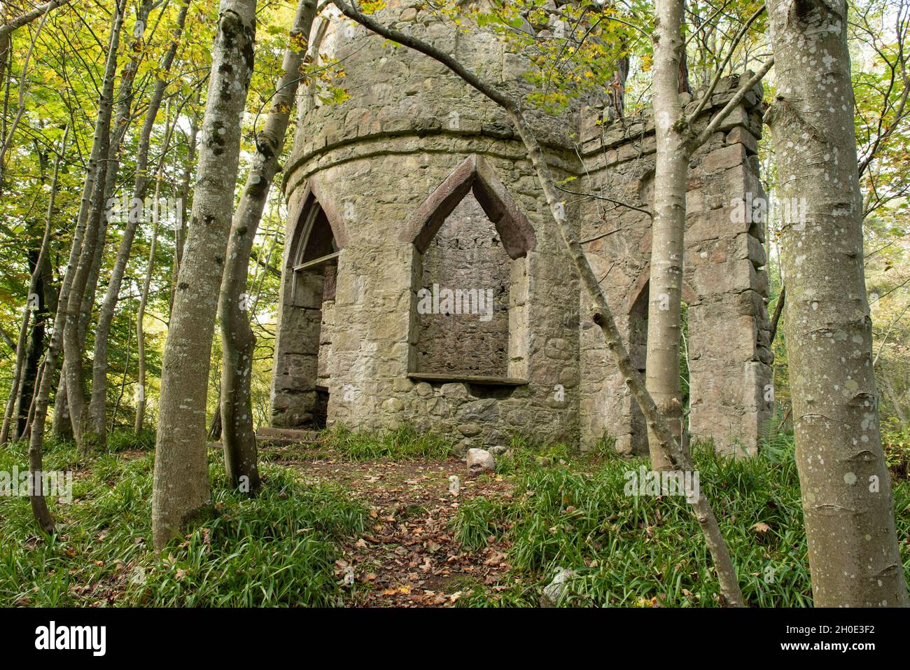 Doulie Tower a folly in woodland near to Rocks of Solitude, Glen Esk, Angus, Scotland. Stock Photo