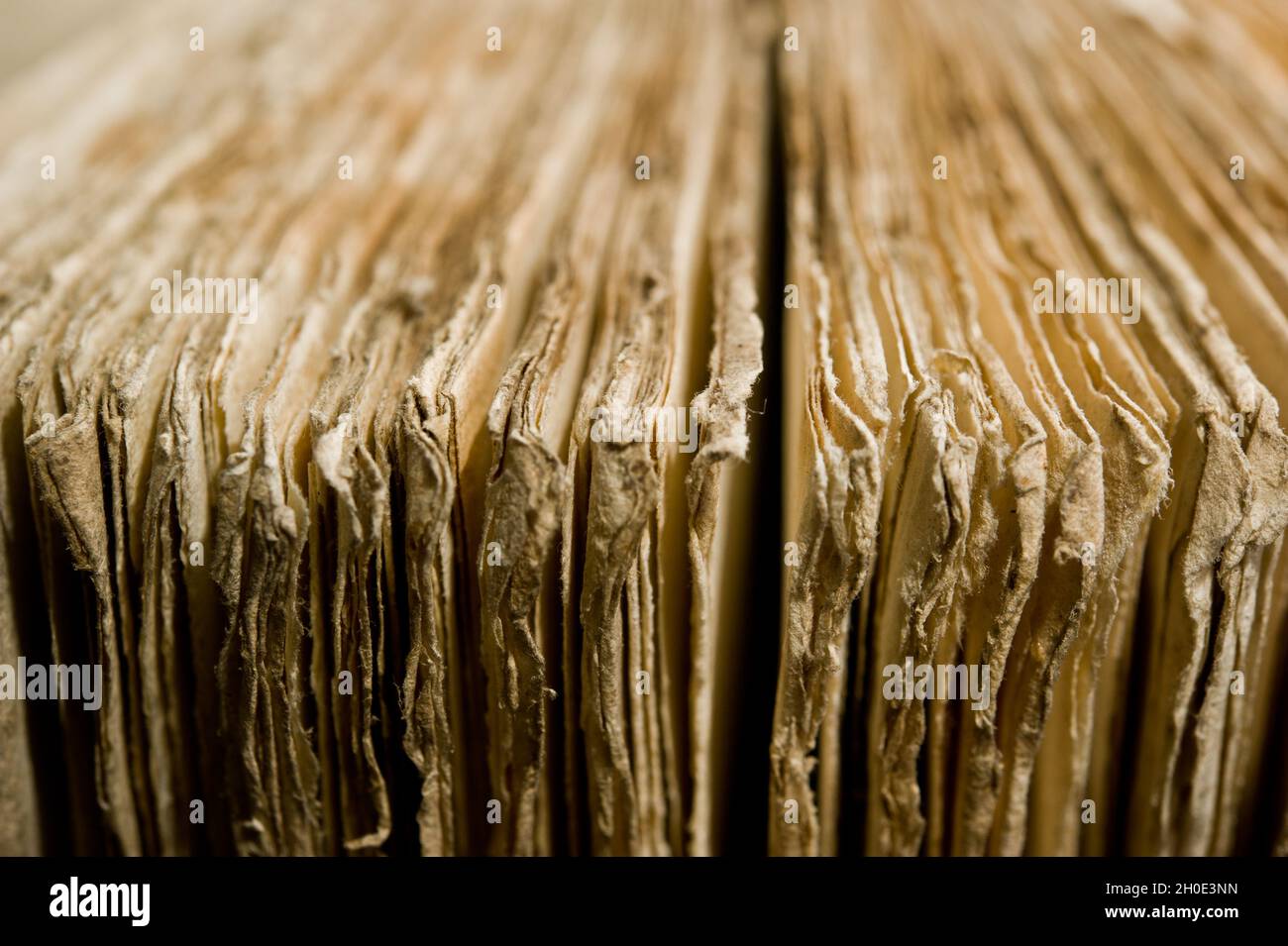 macro detail of pages of an antique book Stock Photo