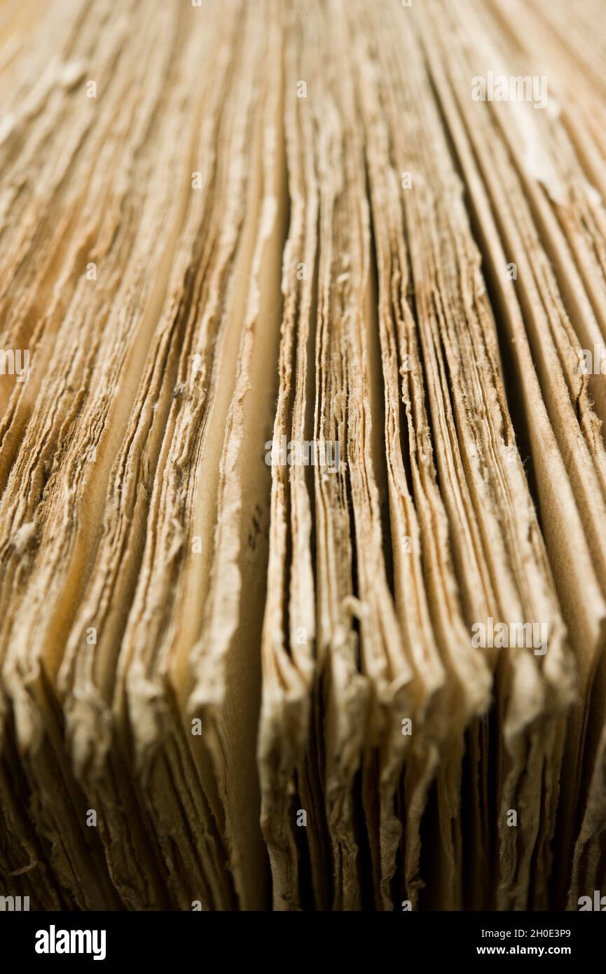 macro detail of pages of an antique book Stock Photo