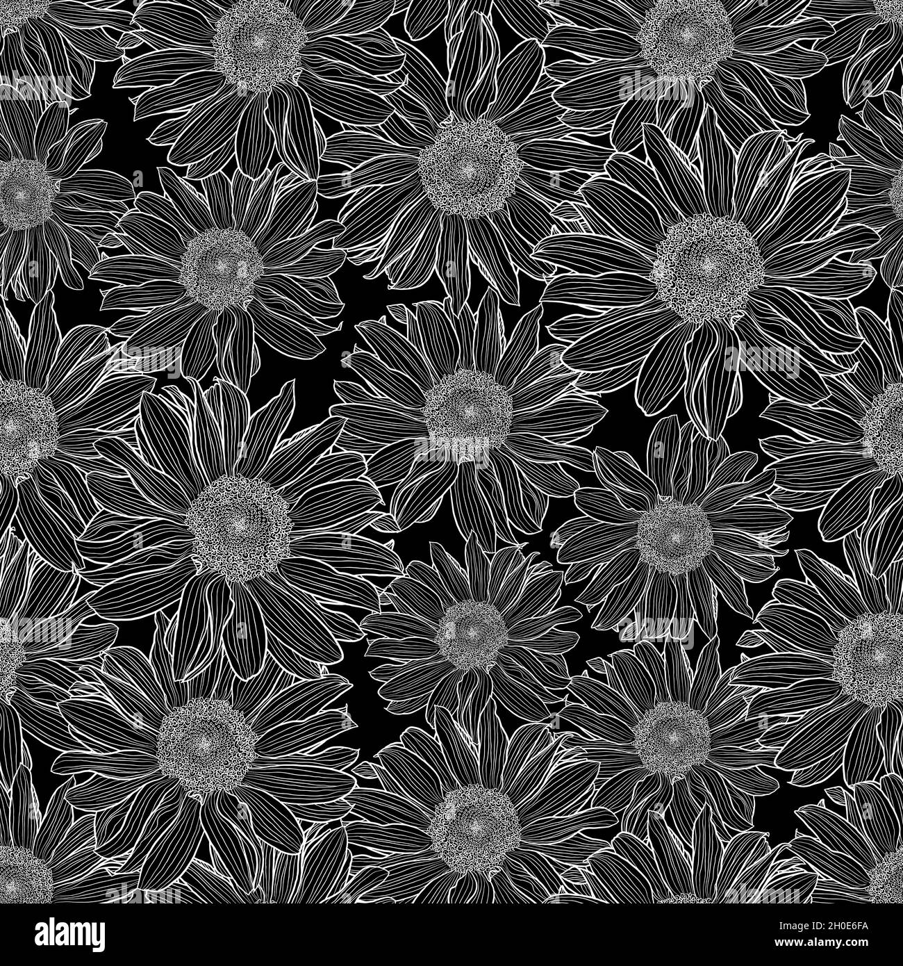 Vector seamless pattern of chamomile flowers in black and white ...