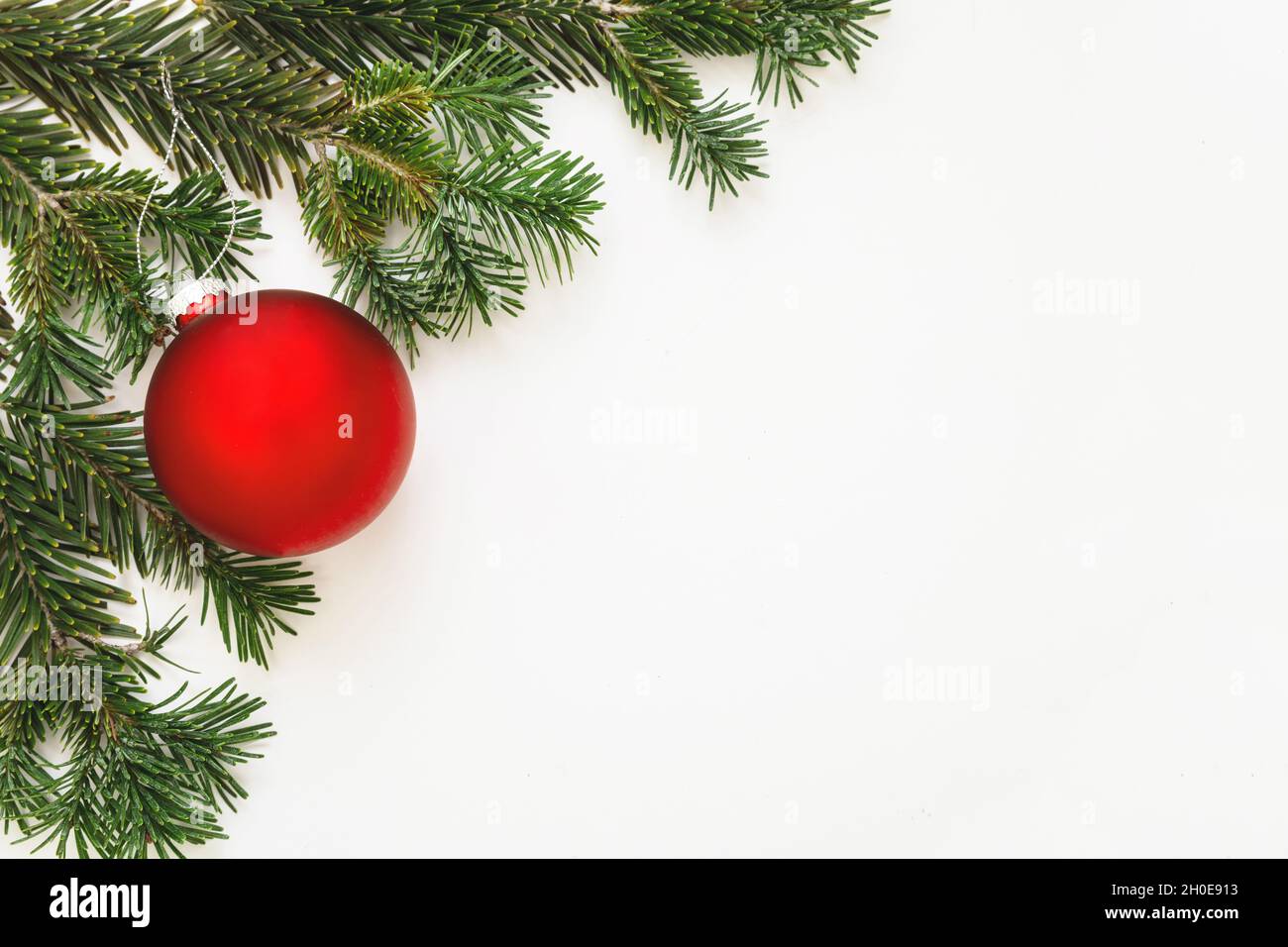 Christmas spruce, green fir twig isolated on white transparent background,  Xmas pine tree branch Stock Photo by rawf8