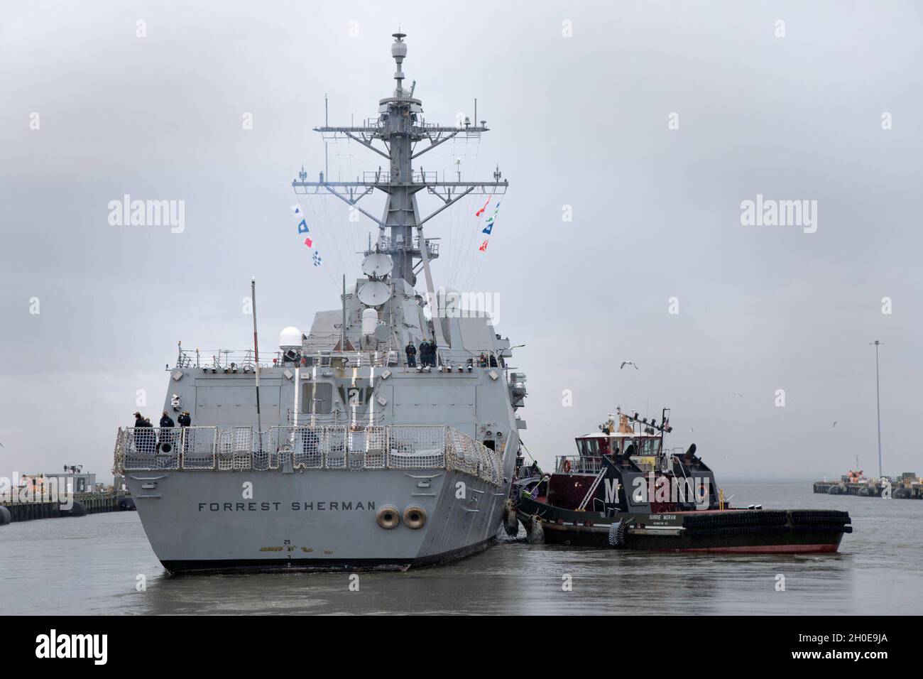 Forrest maintenance hires stock photography and images Alamy