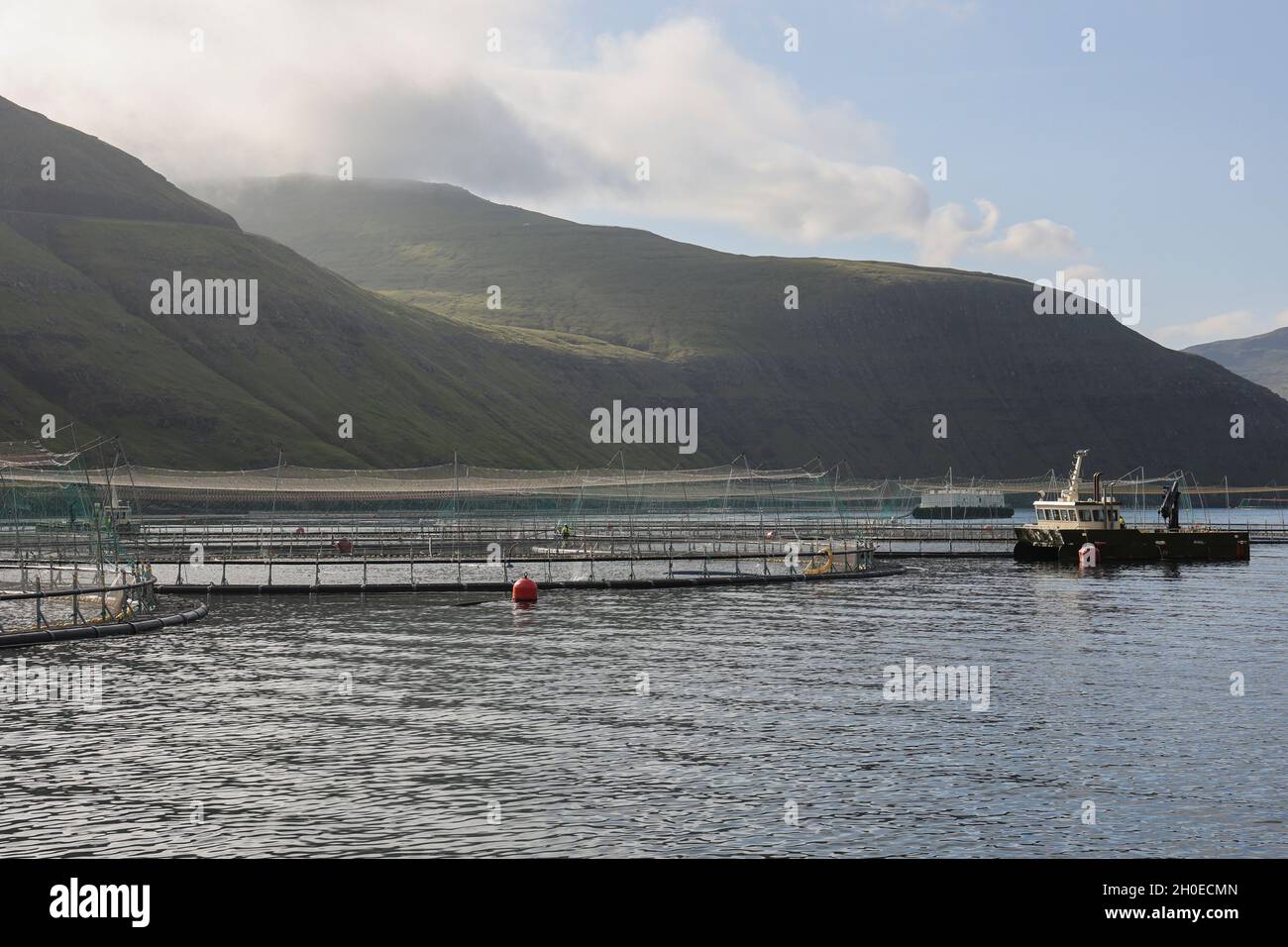 Salmon farming in the bay of Vestmanna, Streymoy Island, Faroe Islands, Scandinavia,Europe. Stock Photo