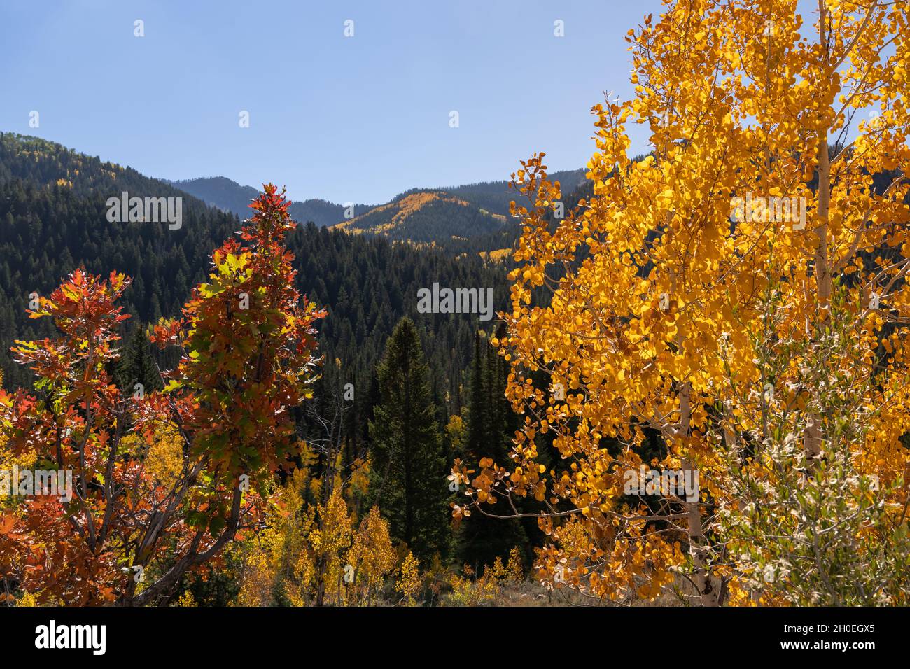 American Fork Canyon, Utah - October 2021 Stock Photo