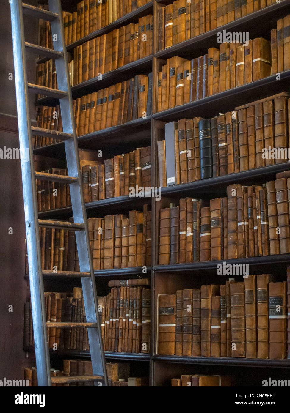 Book shelves at the Long Room Library in Trinity College Dublin Ireland  Stock Photo - Alamy