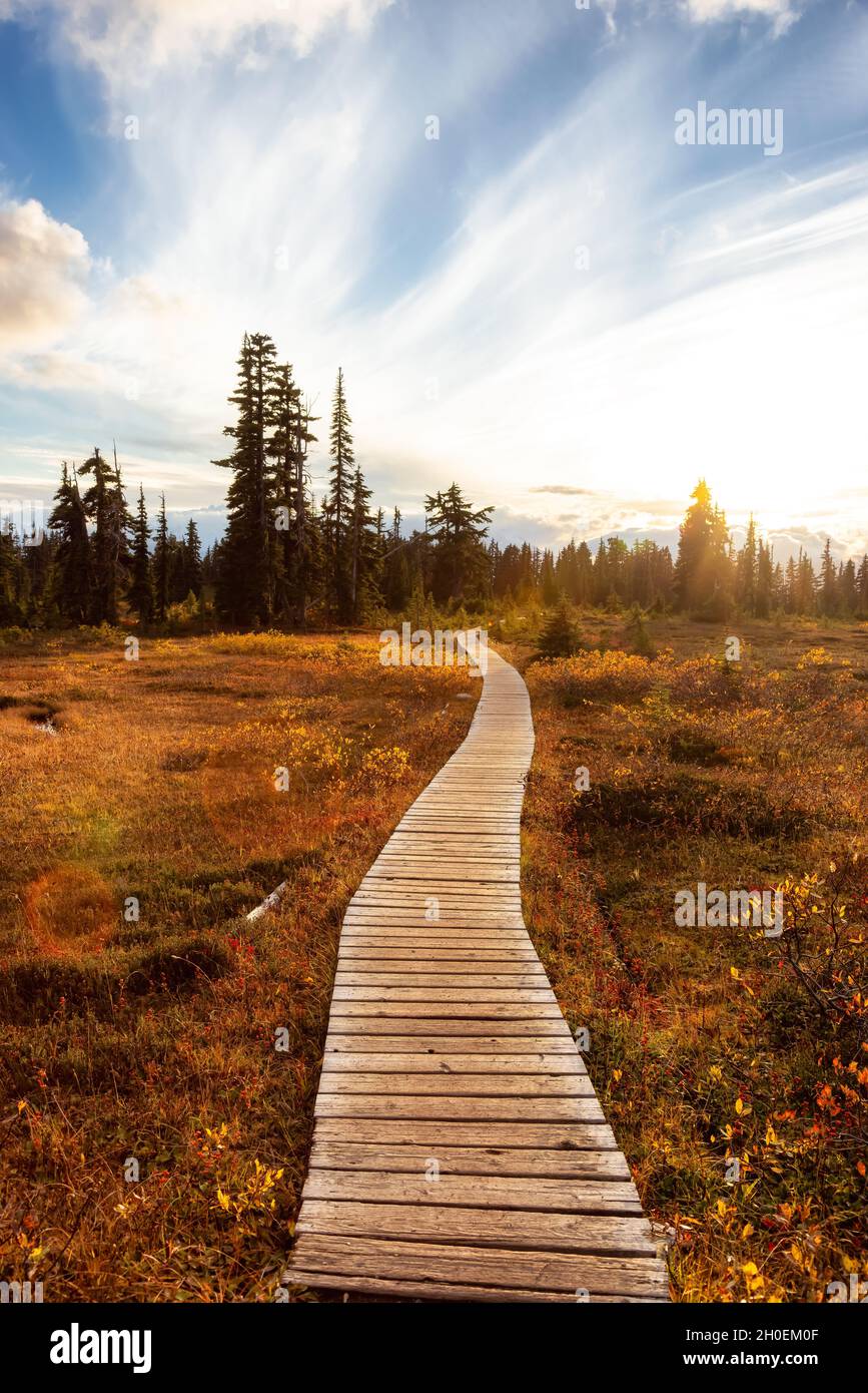 Hiking trail outdoors in Canadian nature Stock Photo - Alamy
