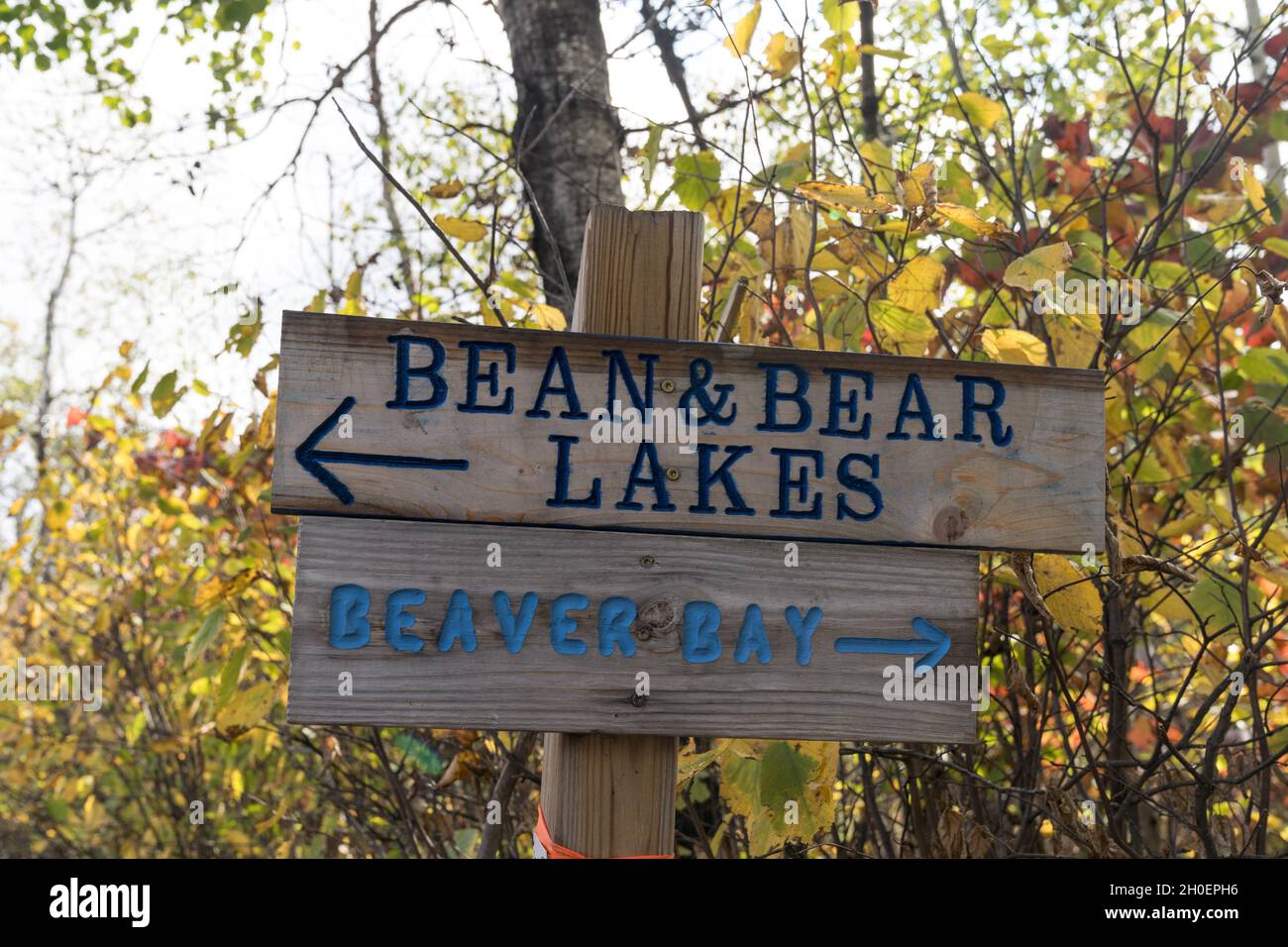 Directional sign for hikers along the Superior Hiking Trail - Bean and ...