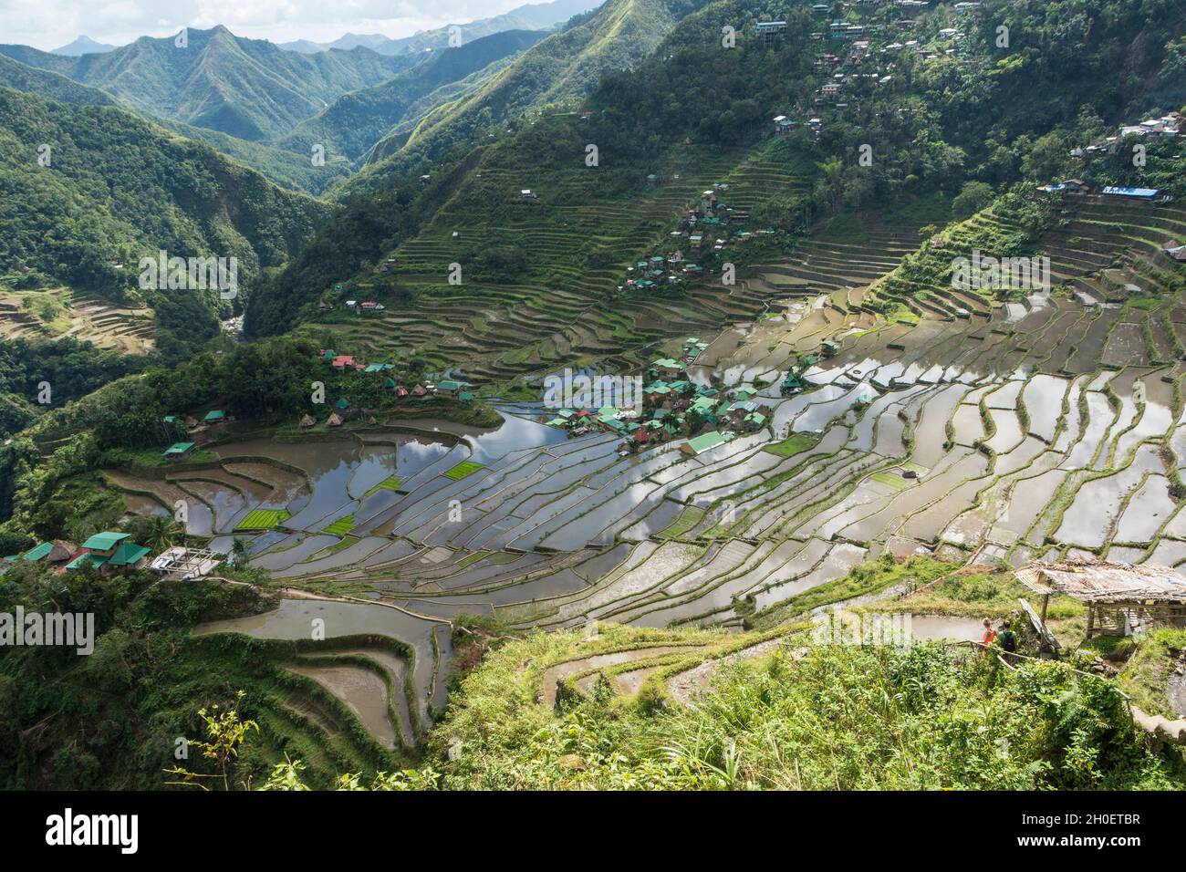 Overview of the Batad rice terraces near Banaue, Ifugao province, Philippines Stock Photo