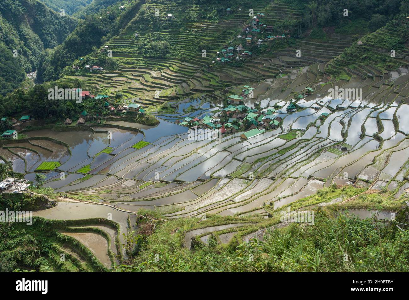 Overview of the Batad rice terraces near Banaue, Ifugao province, Philippines Stock Photo