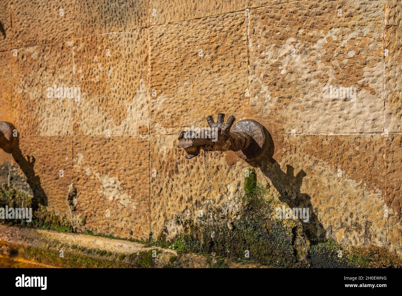 The fountain Labat Siscar at the twelfth century Cistercian monastery of Santa Maria de Poblet, Catalonia. Stock Photo