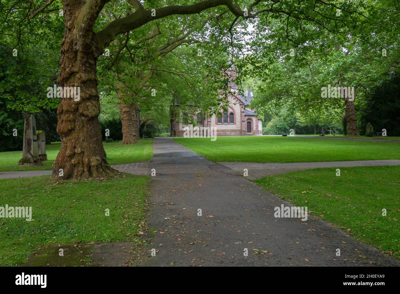 Old big trees in the park and burial ground of stadtfriedhof (City