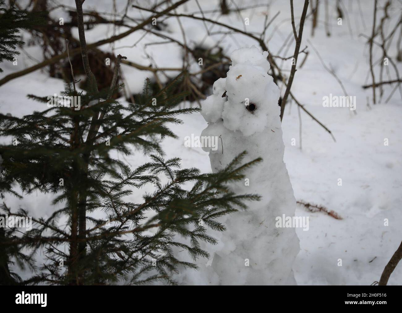 Snow fighting vehicle hi-res stock photography and images - Alamy
