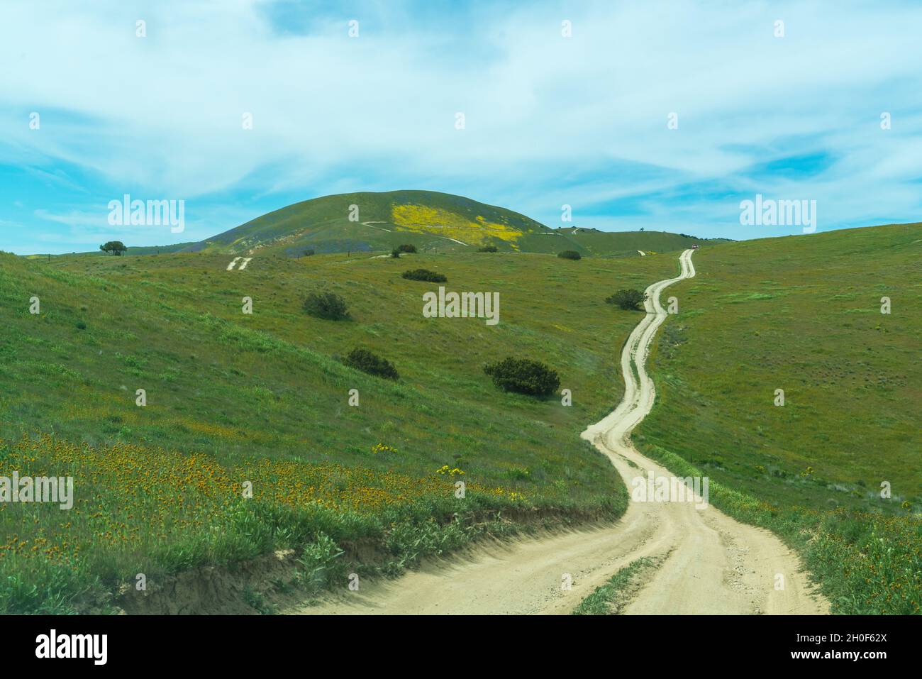 Rural unpaved road in California amid the blooming hills Stock Photo ...