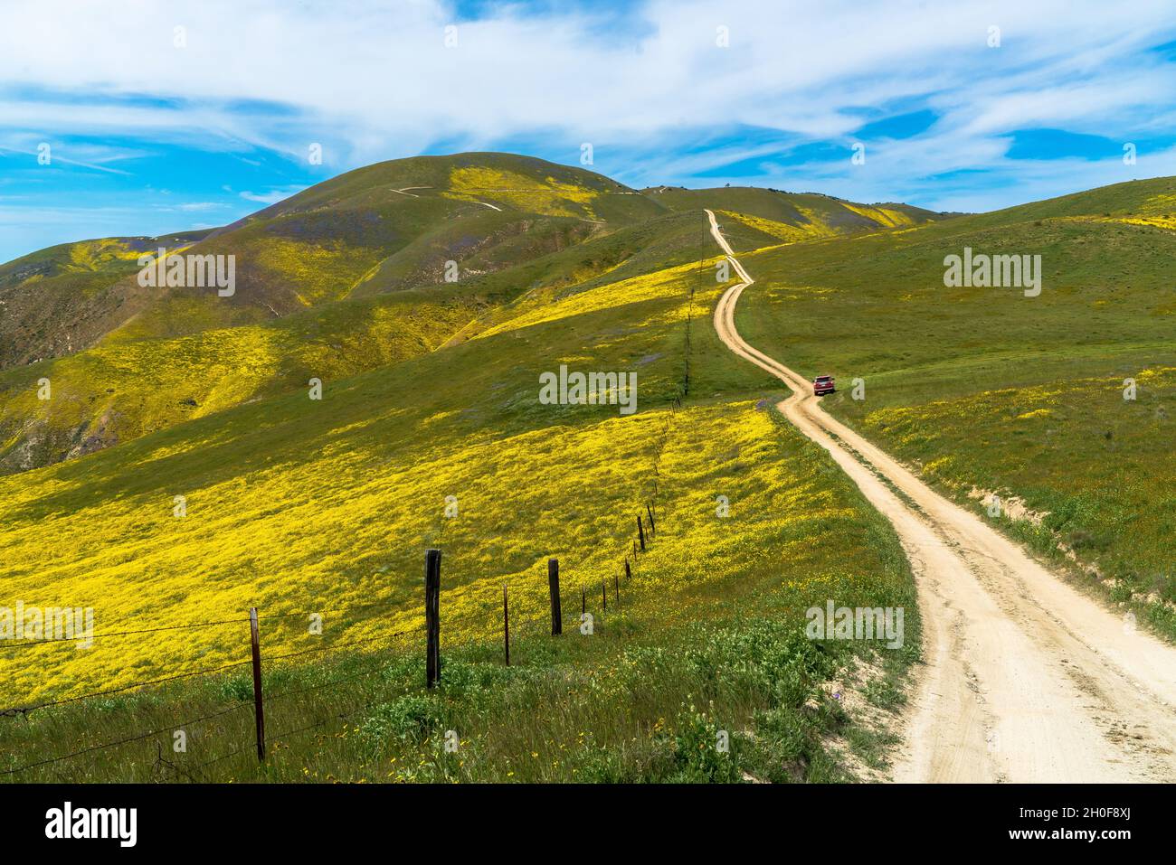 Rural unpaved road in California amid the blooming hills Stock Photo ...