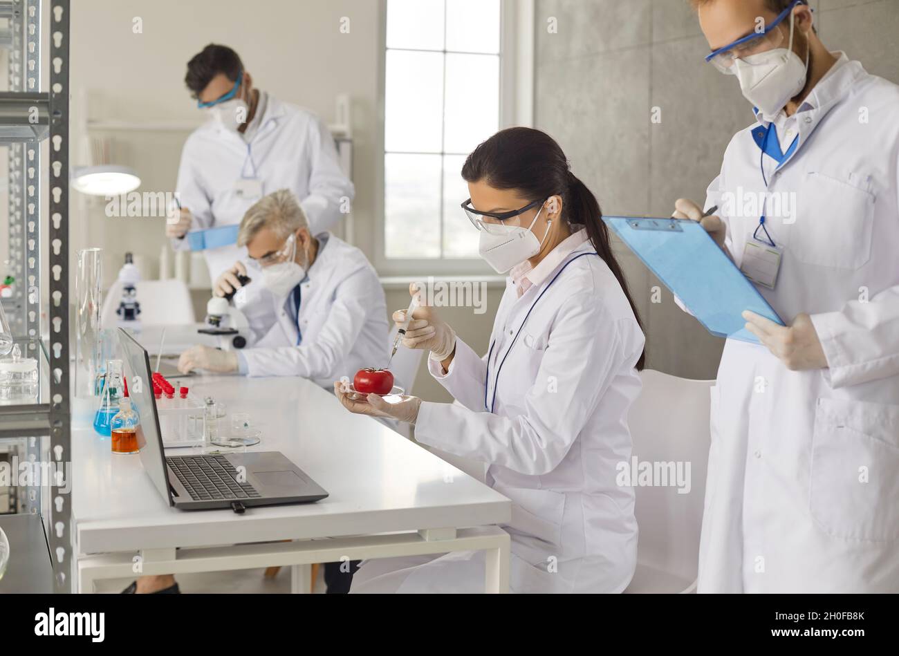 Food scientist injecting tomato working with researchers group colleague at lab Stock Photo