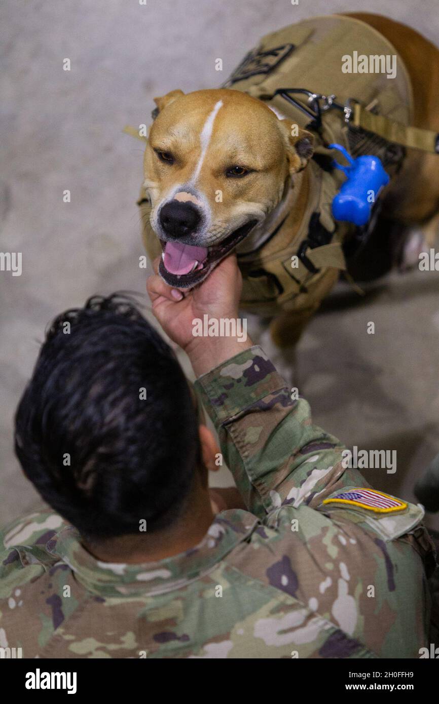 U.S. Army Spc. Elihu Hernandez pets his family dog Hercules before a departure ceremony for ...